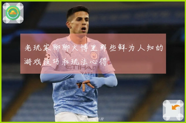 老玩家聊聊火博里那些鲜为人知的游戏技巧和玩法心得